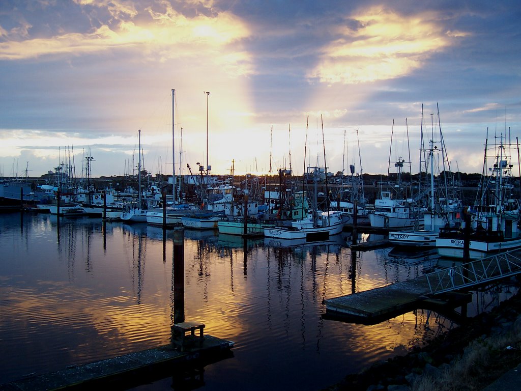 Citizen's Harbor, Crescent City, CA by doeding