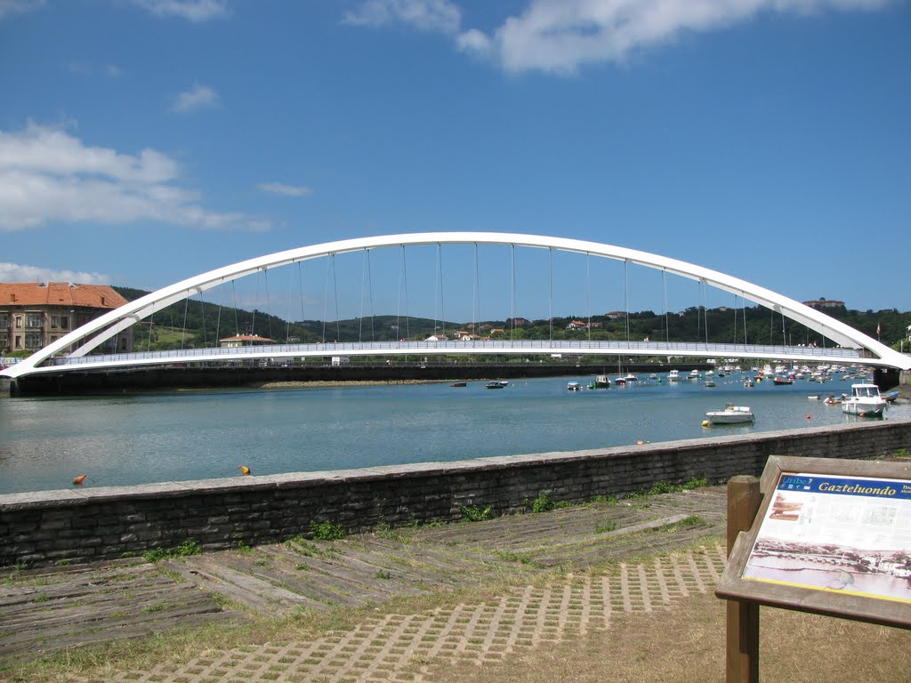 Puente de tirantes by bekele68