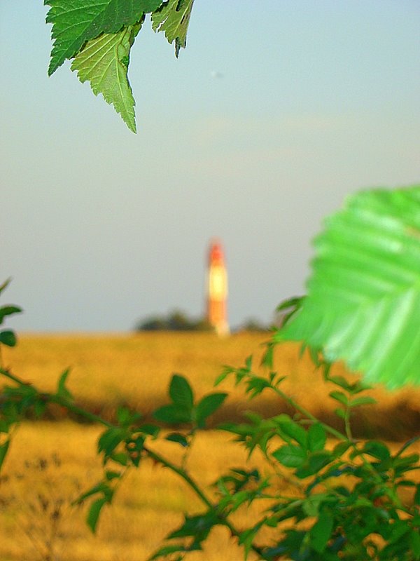 Lighthouse Fehmarn by Veromy