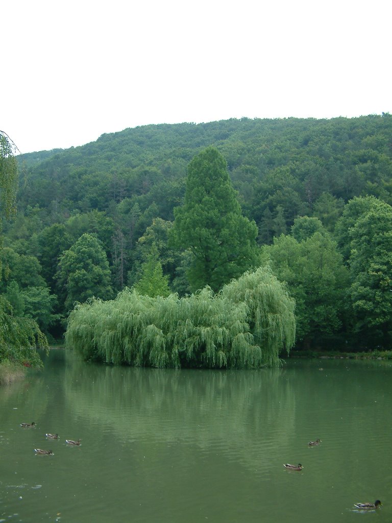 Trenčianske Teplice - park by Marián Hubinský