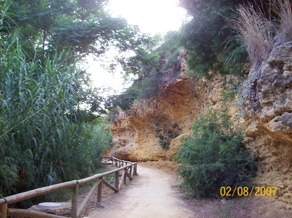 Pared Rocosa Vivero by Descansatore