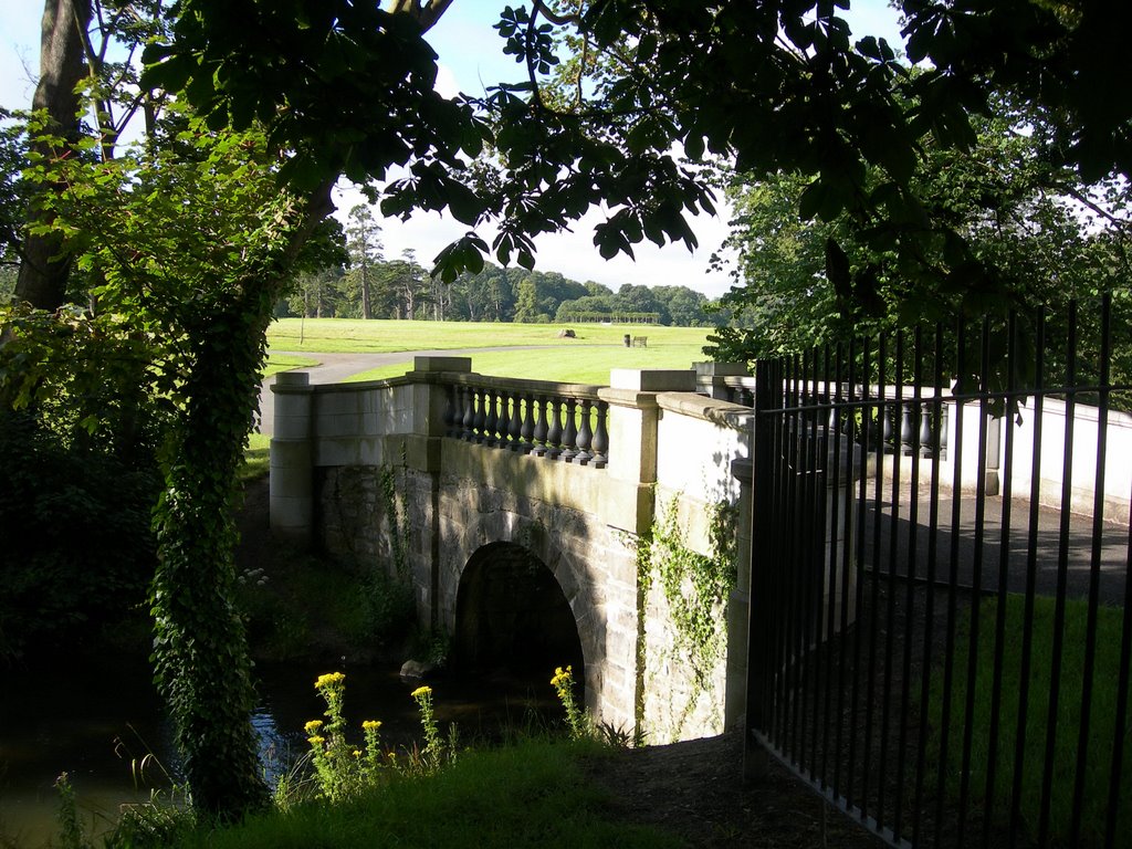 Santry Demesne 3 by David Hughes