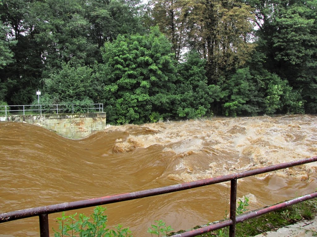 Hochwasser 2010 in Chemnitz - Das Wehr an der Kauffahrtei by Rudolf Henkel