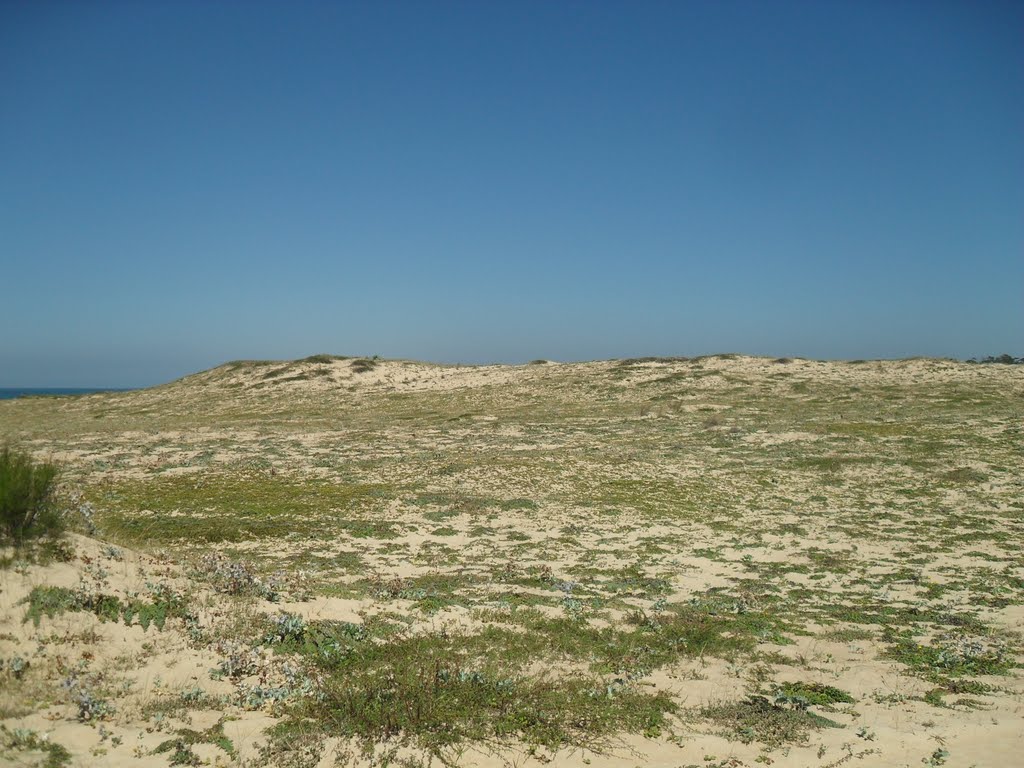 Les dunes by david ollagnon