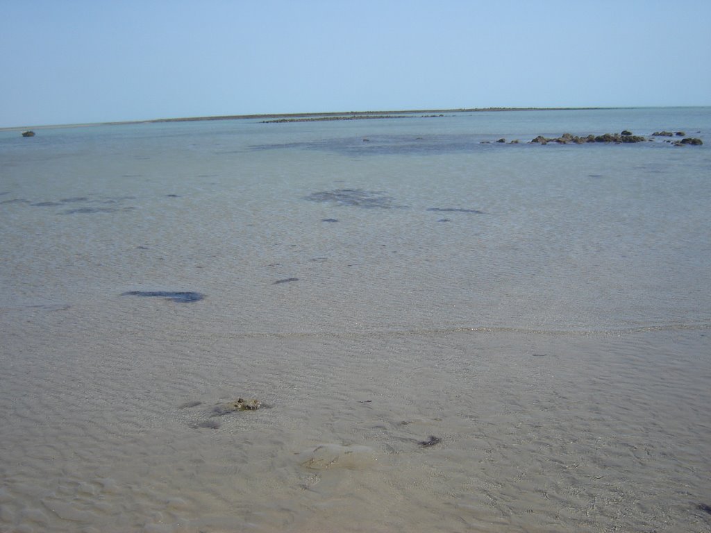 Coqueiro da Praia by Helder Fontenele