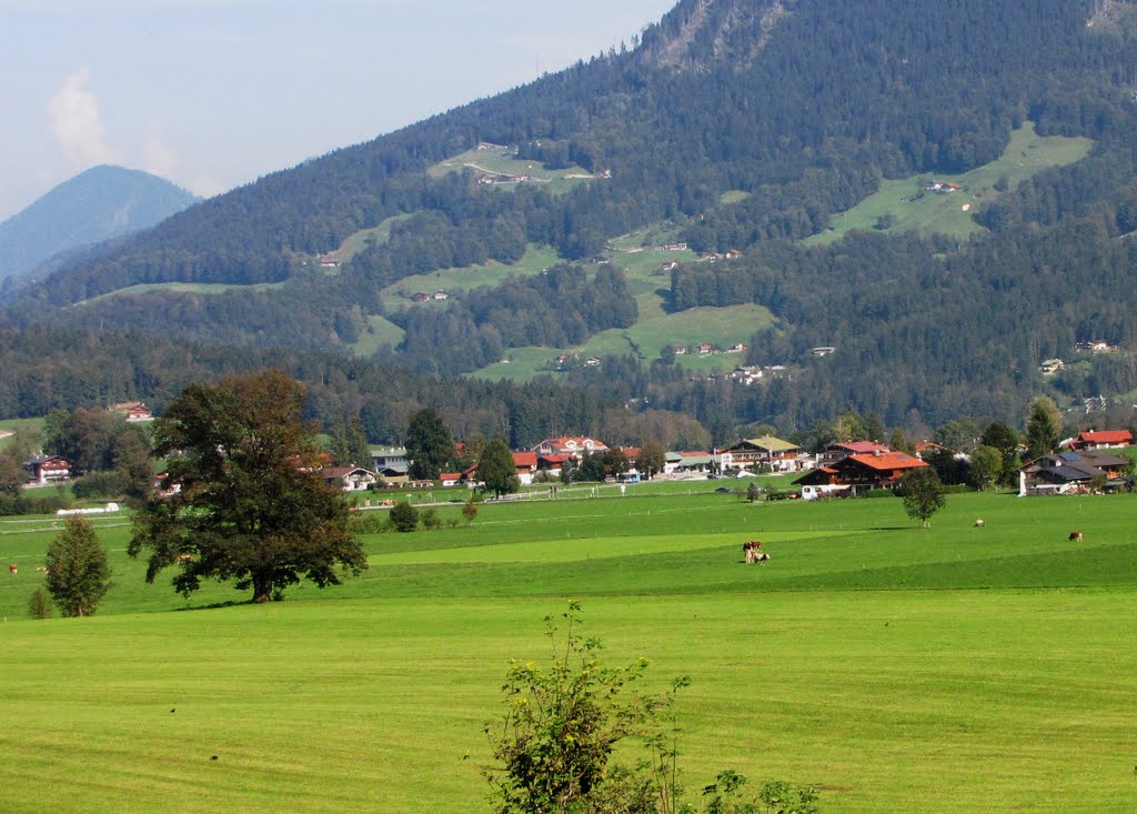 SCHONAU GREEN FIELDS by cohensharli