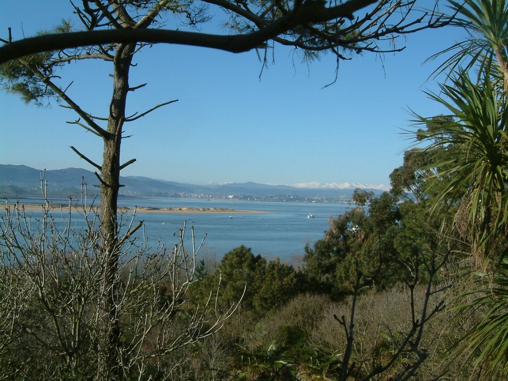 Bahia de Santander desde La Magdalena by jlmatilla