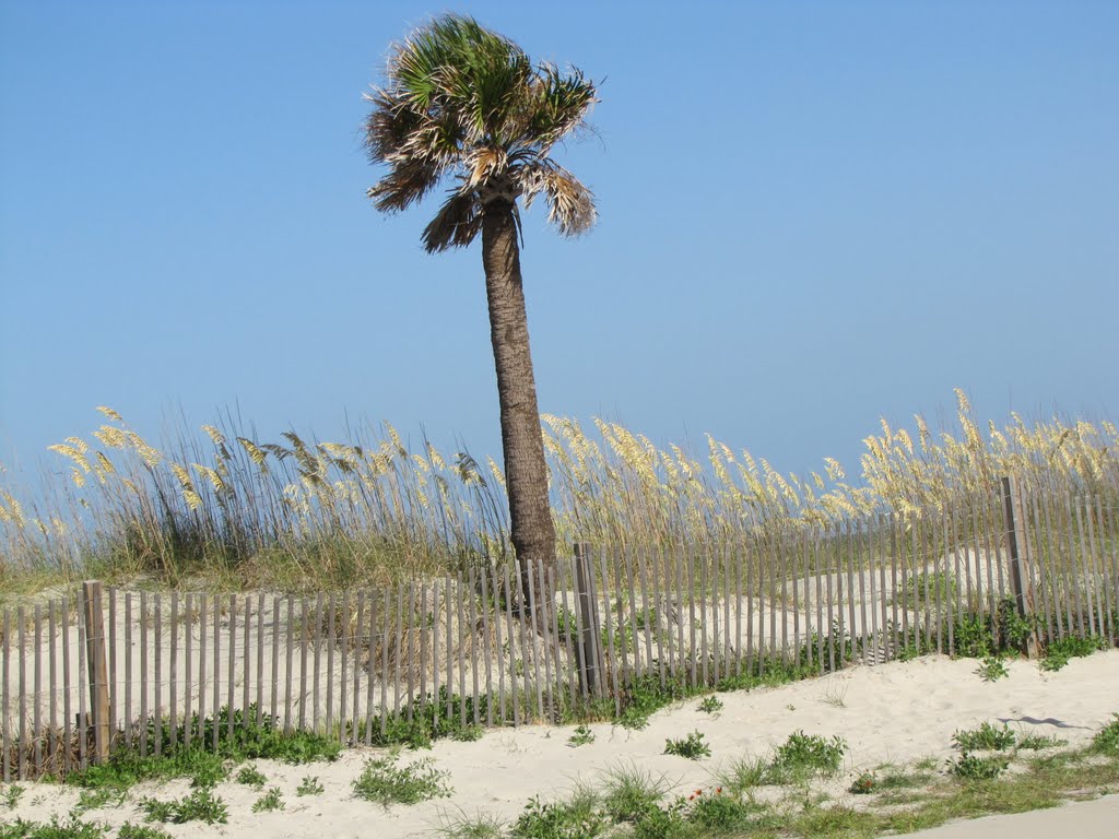 A gentle breeze..Tybee Island, Savannah, Georgia (July 2010) by Sarah O