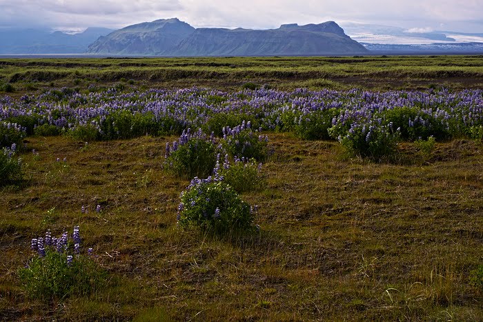 Mýrdalsjökull by Frank Steinmann