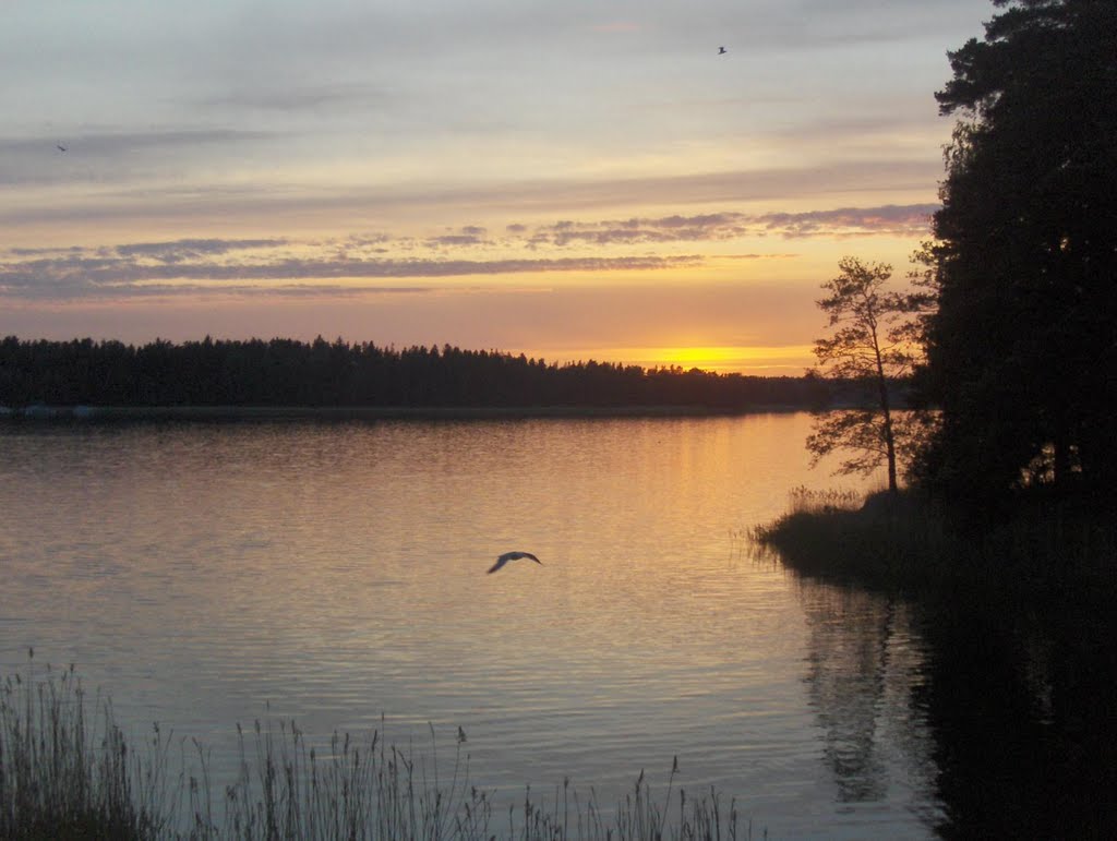 A view from Lehtisaari by kisumisu