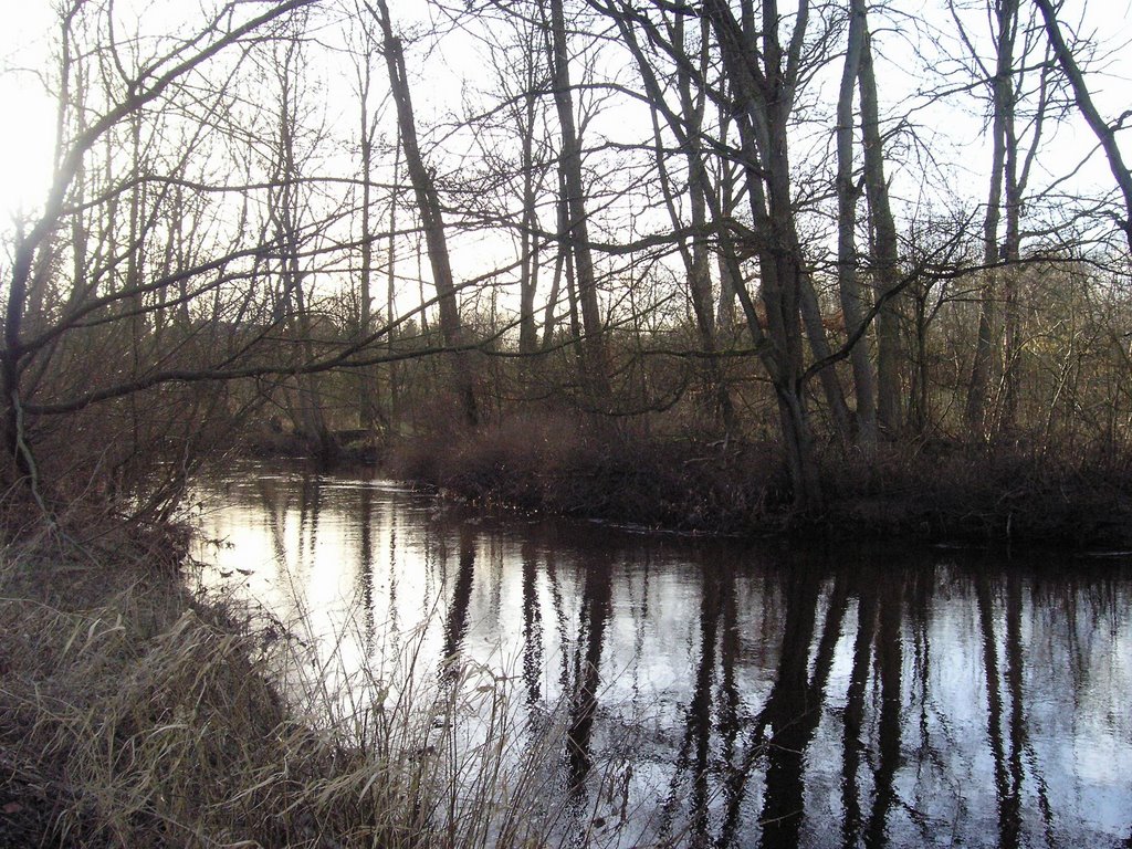 Alsterlauf Blick zum Gut Wulksfelde by •• HaHeBa (D) ••