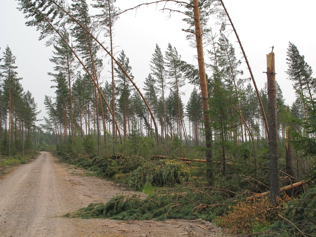 Finland, North from Imatra. The downburst visited here 08/2010. by oh5xb