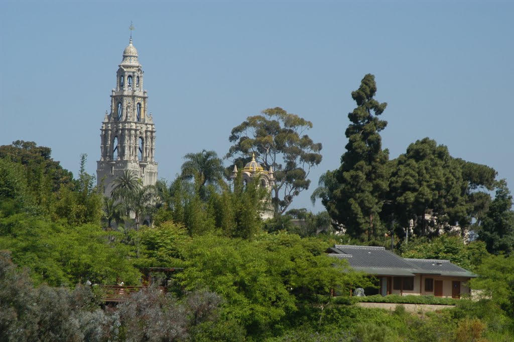 Balboa Park-1 by Yun wonchin