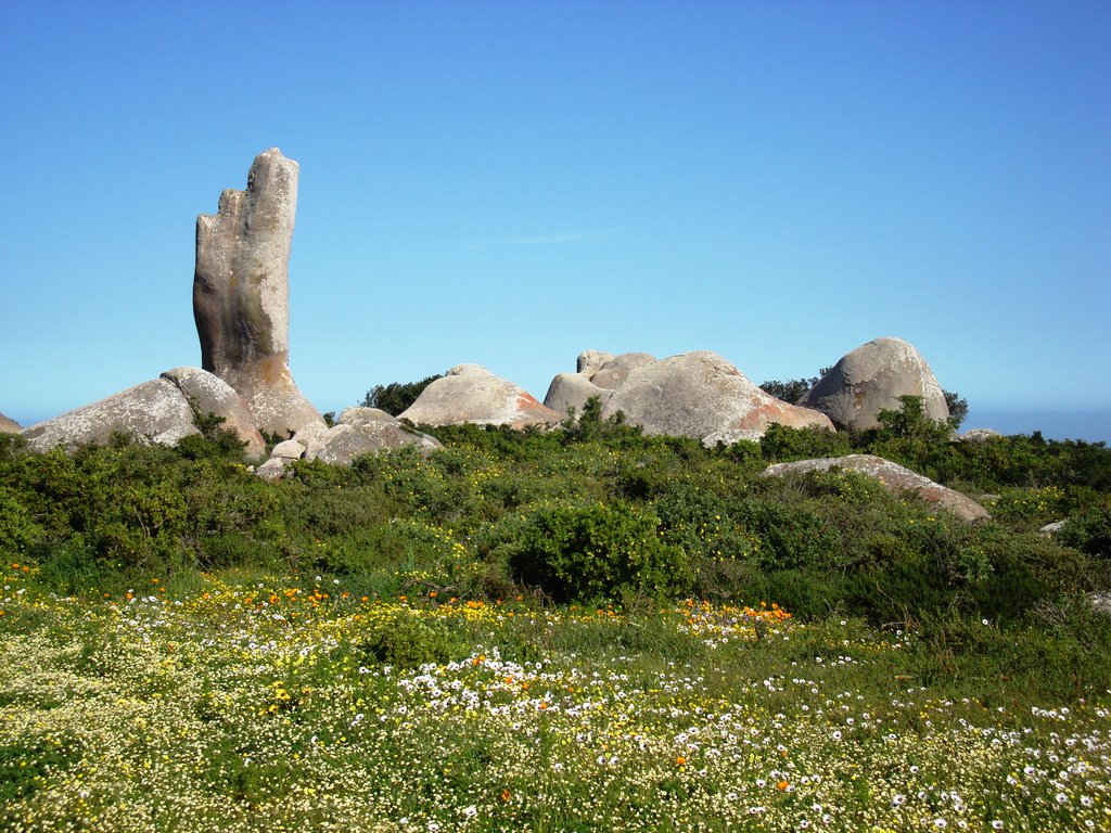 "Stonehenge" at Postberg by Johan Nel