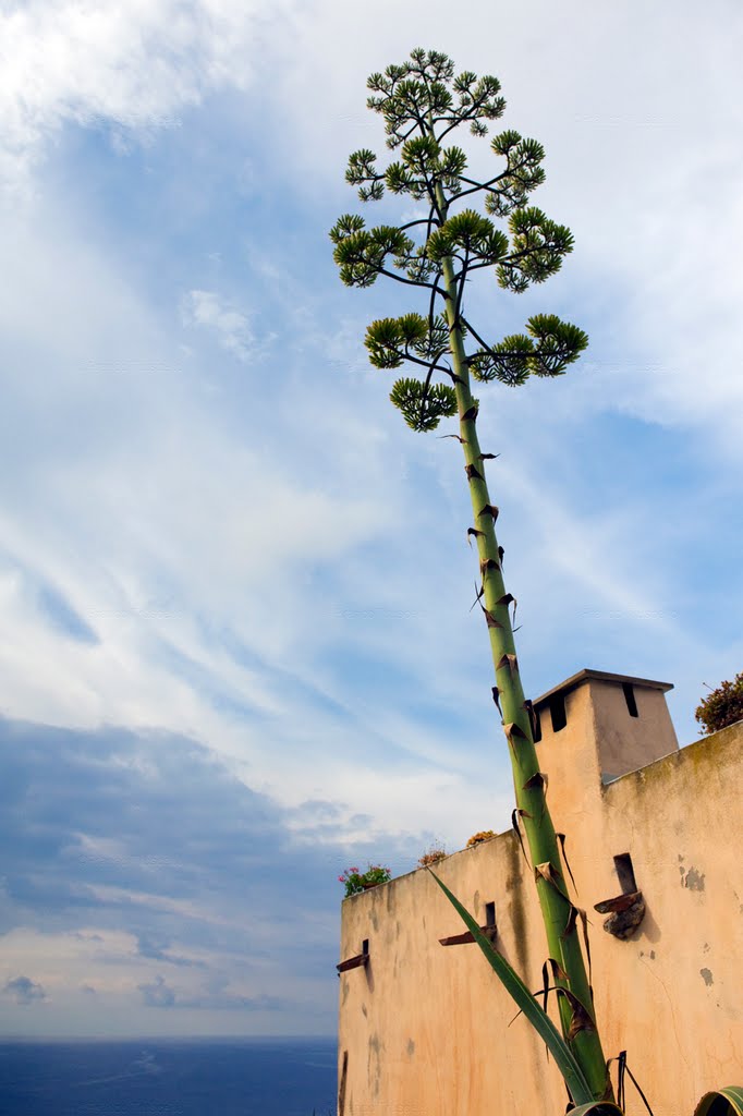 Antico nucleo di Chièn - Scorcio by © Franco Truscello