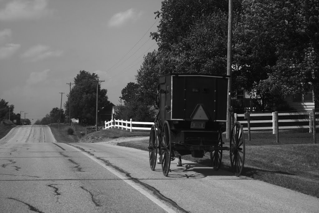 Shipshewana horse-drawn buggie by Kerkhofs-Haesen Anita