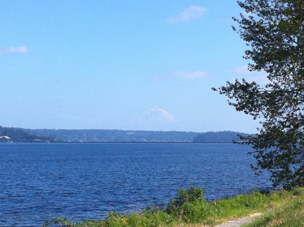 Mt. Rainier from Madrona Park by bobd