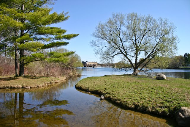 Otonabee River by Martin Halme