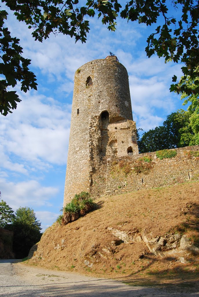 Tower built by the Fairy Melusine by Peter_private_box