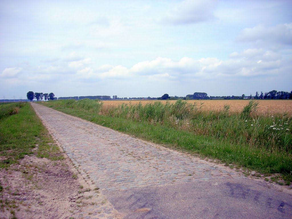 Pyramide, Timmermansweg-Smokkelweg (2200m kassei, cobbles, pavé) by Filho2940