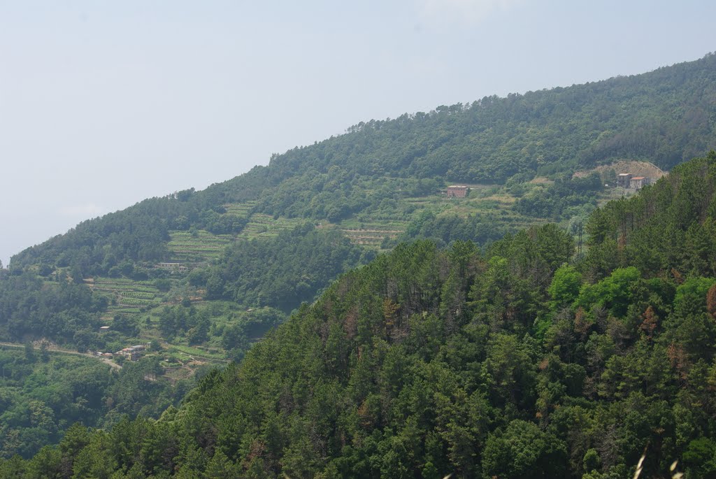 VI/IX : Les cinq villages qui composent les Cinque Terre remontent à la fin du Moyen Âge. Les terrasses cultivées caractéristiques de la plus grande partie de leur paysage ont été aménagées pour la plupart au XIIe siècle, lorsque prirent fin les raids maritimes des Sarrasins. by ☮Ronan 60 countries☮