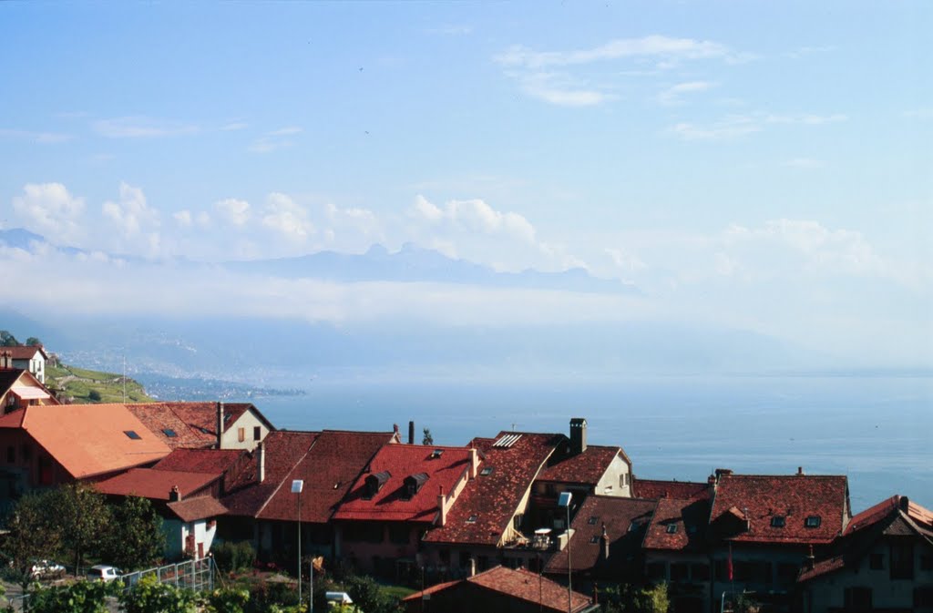 Overlooking Lake Geneva, from the “Train des Vignes” by Andrew-k