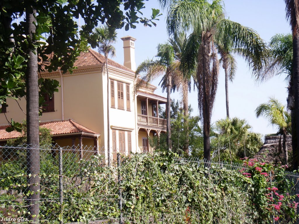 Puerto de la Cruz "Casona" by Isidro González Pérez