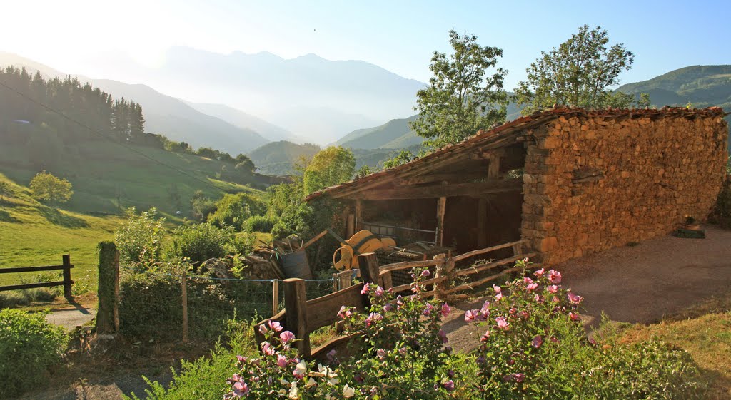 Atardecer con los Picos de Europa al fondo (Perrozo) by Arturo C-53