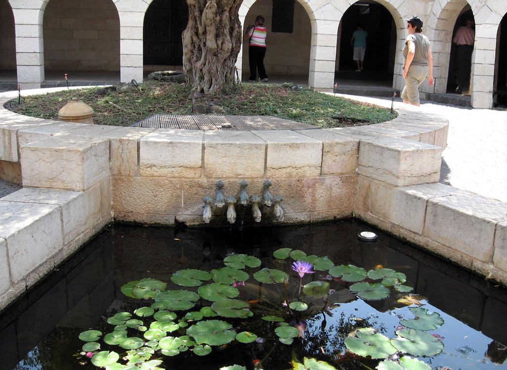 Tabgha - Iglesia de la Multiplicación de los Panes y los Peces by R.F.Rumbao