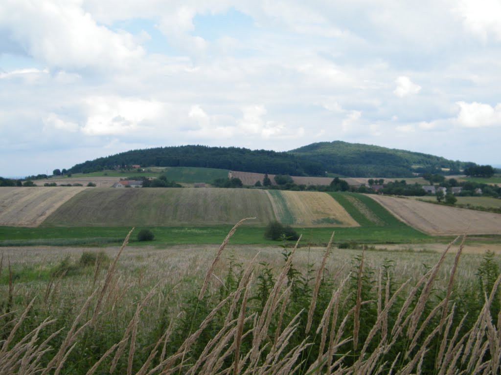 Wzgórza Strzelińskie - widok na Gromnik by Stary1995