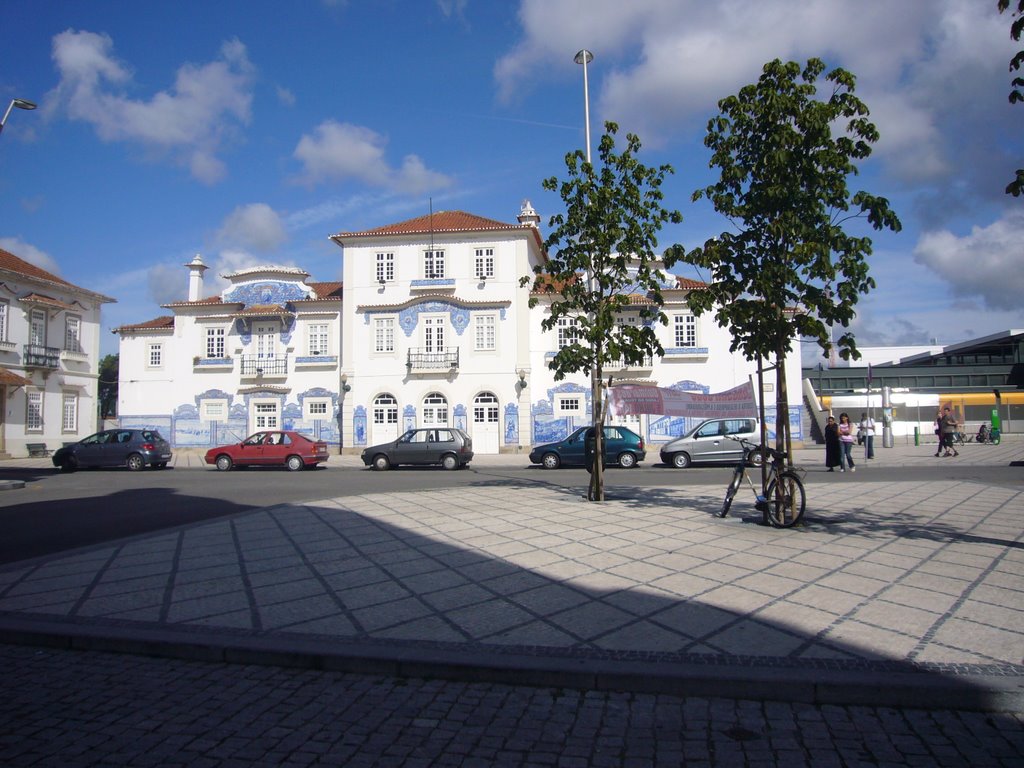 Estacao de Aveiro by angel83