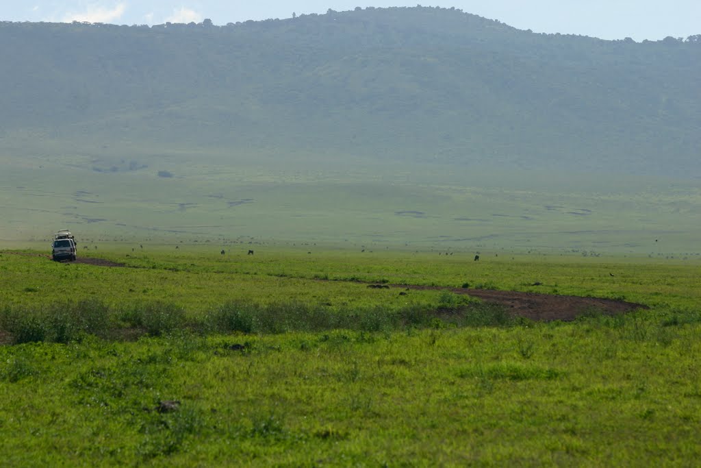 Tanzania, Ngorongoro by kat-ter