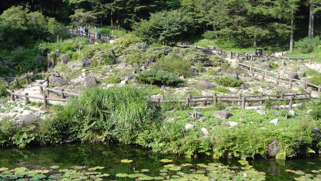 Rokko Alpine Botanical Garden by coltralliart