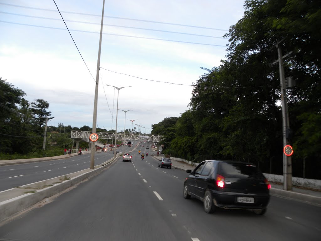 Avenida Dom Pedro II - Ao lado , Mata do Buraquinho by Zelma Brito