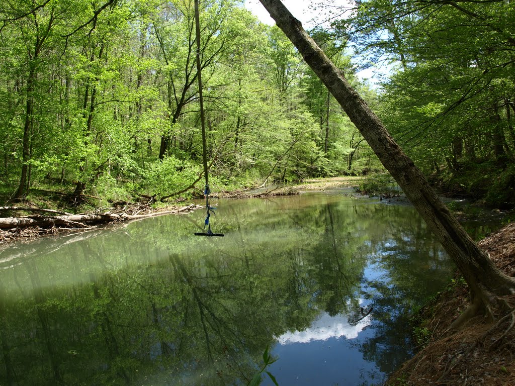 The old swimming hole by asdbluewater