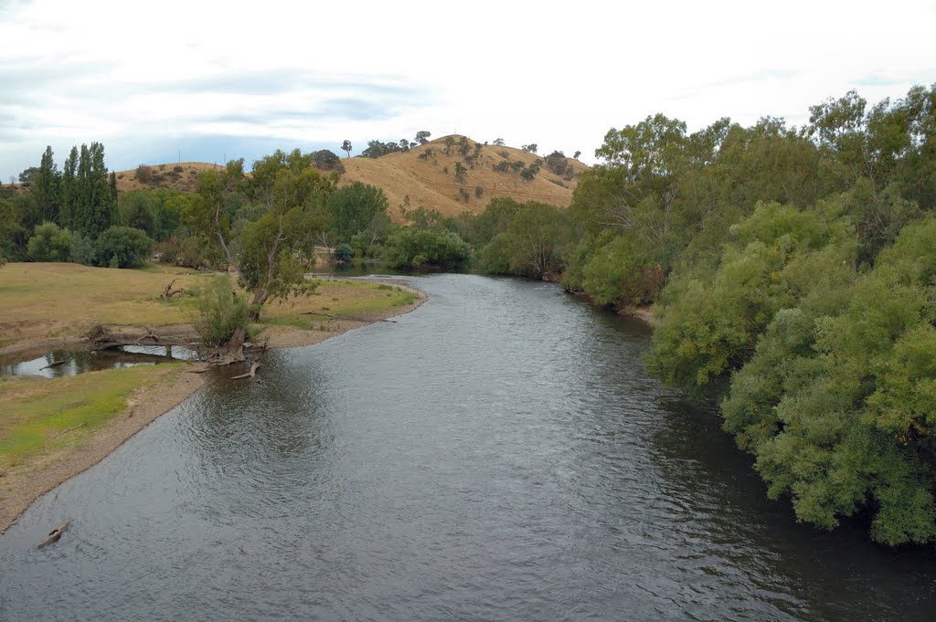 Murray River upstream from Jingellic bridge by dirkus49