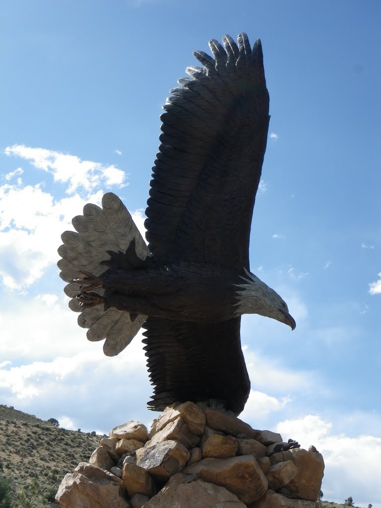 Bronze Eagle 2800 lbs. and 21 ft wingspan by shadebather