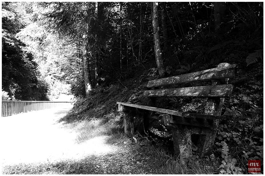 --Contest August ERBE-- old bench on a way passing by by mr-photograpy