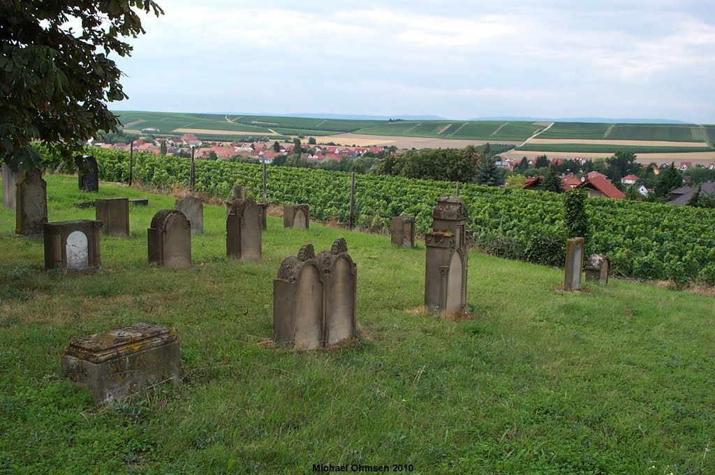 Auf dem jüdischen Friedhof in Flonheim by Michael Ohmsen