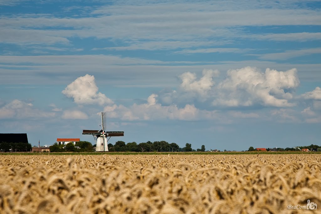 De Lelie (1868), Scharendijke by © BraCom (Bram)