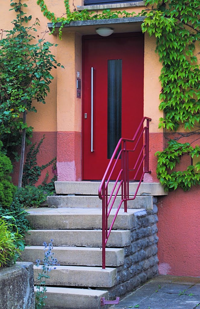 New Door, old Stair by Rainer M. Ritz