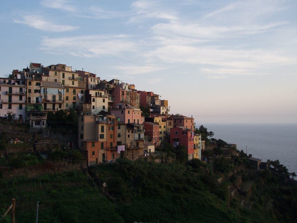 Favorite Corniglia picture by afraser30