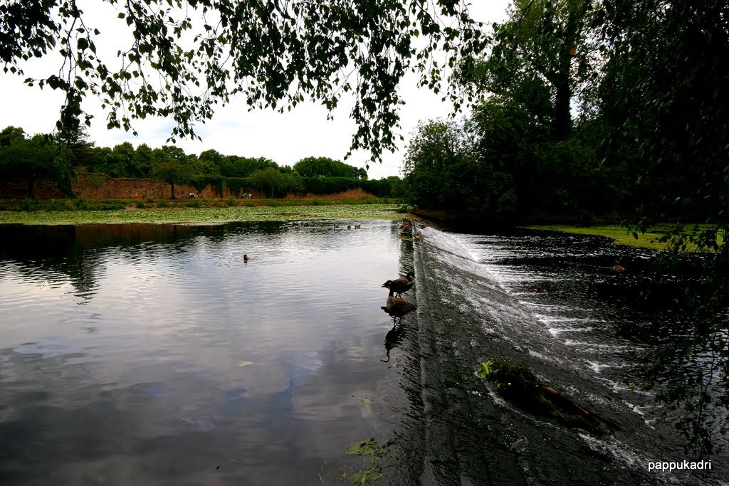 Abbey park leicester by pappukadri