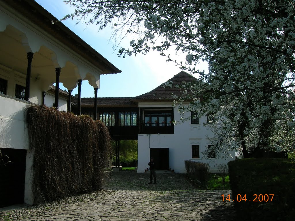 "Nicolae Iorga" memmorial house in Valenii de Munte by raduconstantin