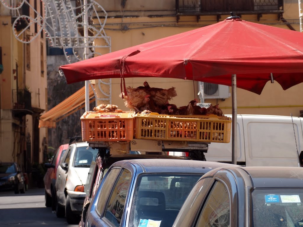 Hühnermarkt by ◊ Hermann ◊