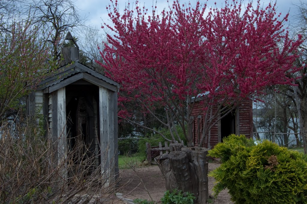 Dallas Arboretum Spring, 2010 by Salatico