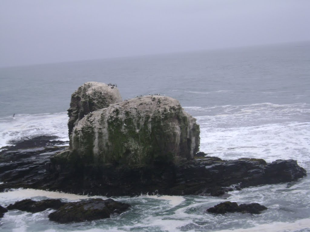 PUNTA DE LOBOS, PICHILEMU by jotaceceo