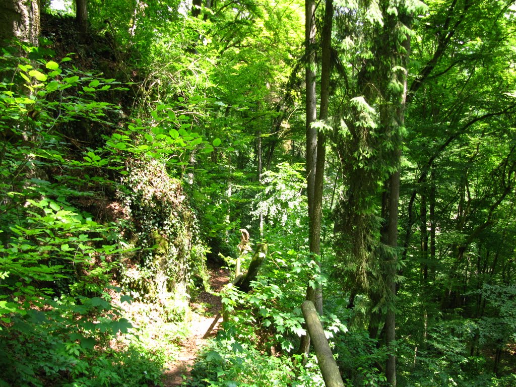 Auf dem Rauchenbergersteig by Robbystum.