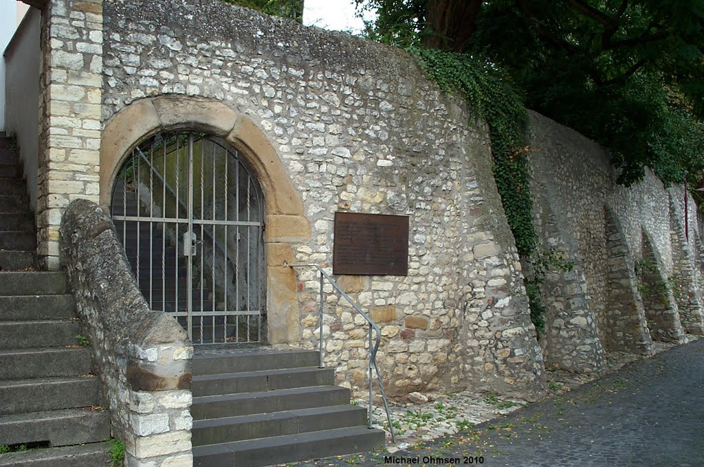 Holocaust-Gedenktafel in Eppelsheim by Michael Ohmsen