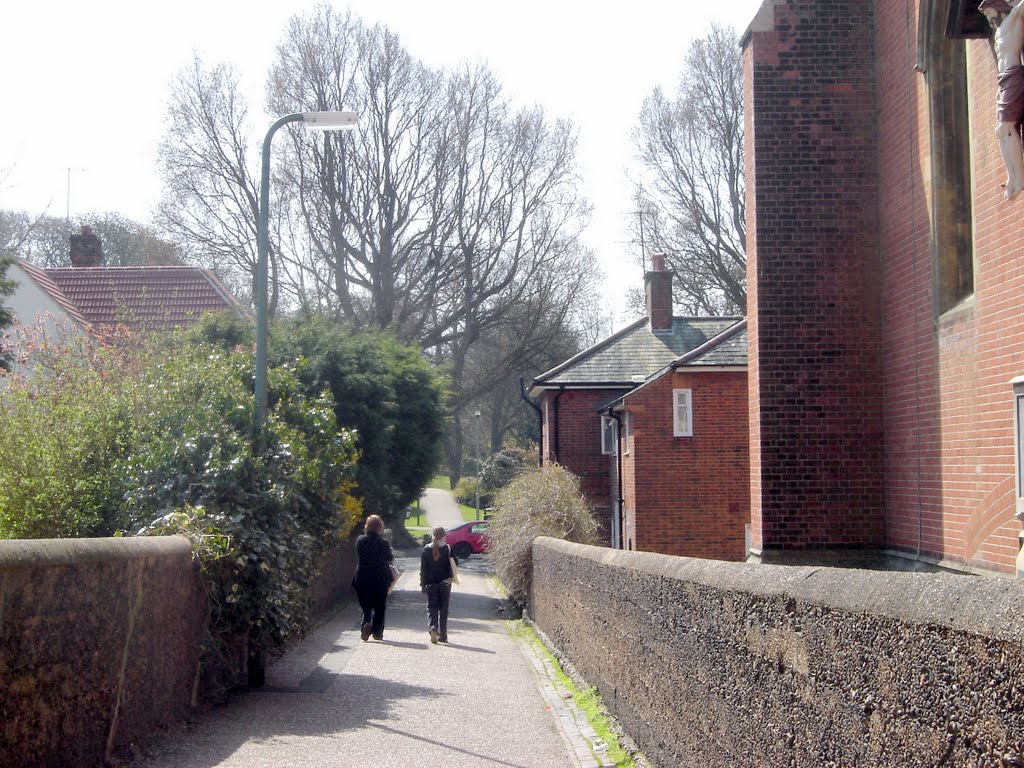 Nizells Lane by Robert Bovington